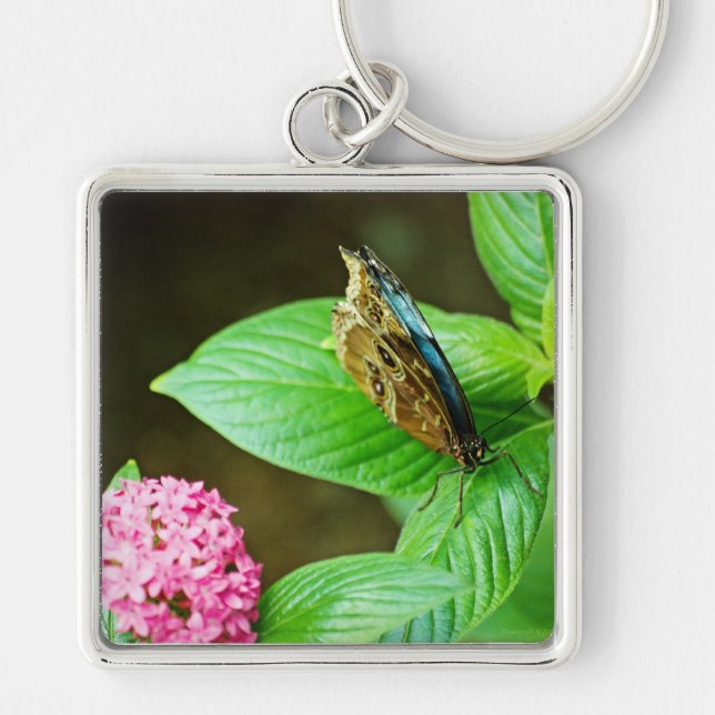 Blue Morpho 143 Keychain (Front)