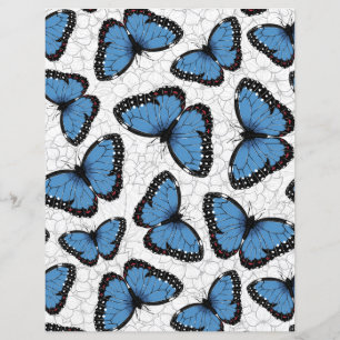 Blue morpho butterflies