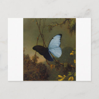 Blue Morpho Butterfly 1865 Spring Personalize Art Postcard