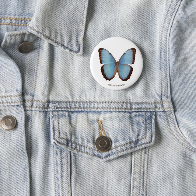 Blue Morpho Butterfly 2 Inch Round Button (In Situ)