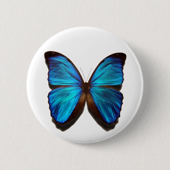 Blue Morpho Butterfly 2 Inch Round Button (Front)