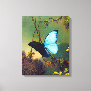 Blue Morpho Butterfly Canvas Print