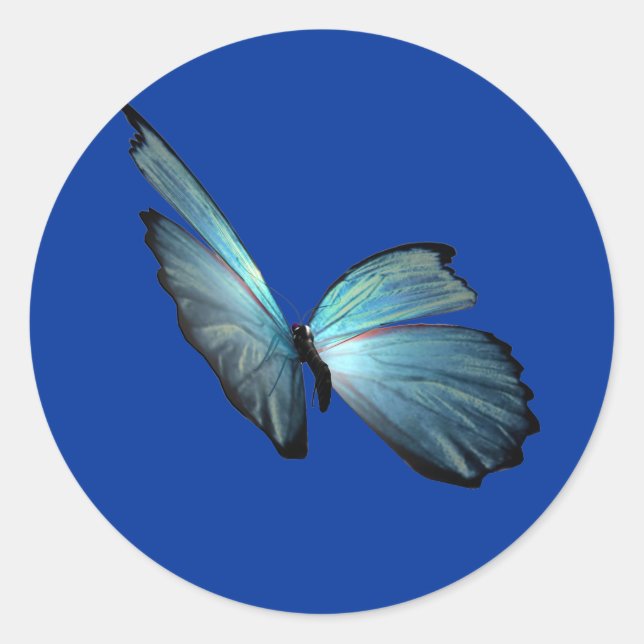 Blue Morpho Butterfly Classic Round Sticker (Front)