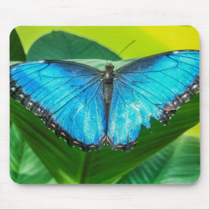 Blue Morpho Butterfly Floral Nature Art Mouse Pad