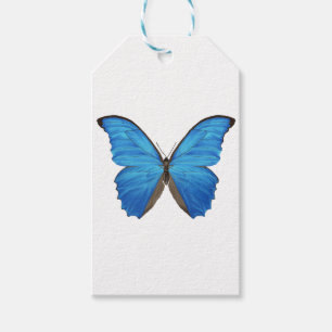 Blue Morpho Butterfly Gift Tags