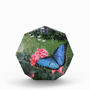 Blue Morpho Butterfly Insect Floral Photo Block