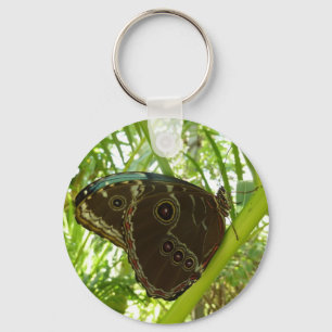 Blue Morpho Butterfly Nature Photography Keychain