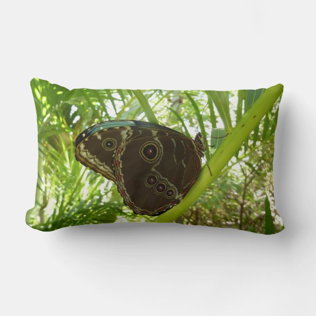 Blue Morpho Butterfly Nature Photography Lumbar Pillow (Front)