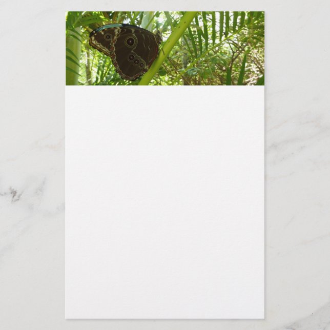 Blue Morpho Butterfly Nature Photography Stationery (Front)