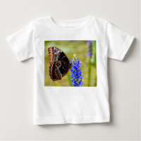Blue morpho butterfly on a marsh orchid