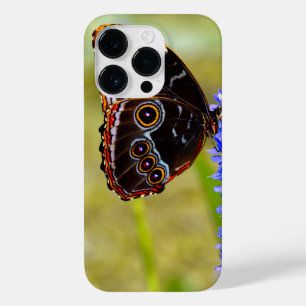 Blue morpho butterfly on a marsh orchid Case-Mate iPhone 14 pro case