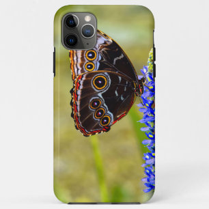 Blue morpho butterfly on a marsh orchid iPhone 11 pro max case