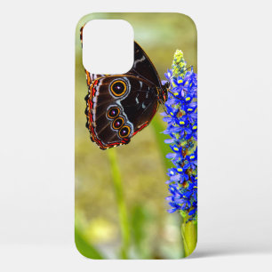 Blue morpho butterfly on a marsh orchid iPhone 12 pro case