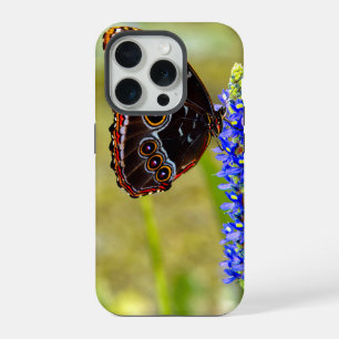Blue morpho butterfly on a marsh orchid iPhone 15 pro case
