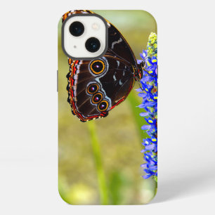 Blue morpho butterfly on a marsh orchid iPhone 13 case