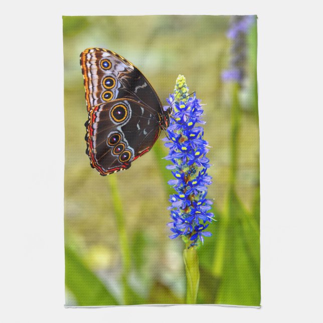 Blue morpho butterfly on a marsh orchid kitchen towel (Vertical)