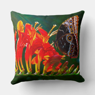 Blue morpho butterfly on Crocosmia Lucifer flowers Throw Pillow