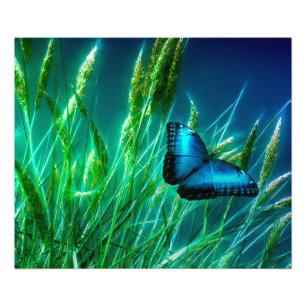 Blue Morpho Butterfly on Green Grass Photo Print