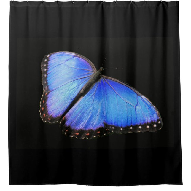 Blue Morpho Butterfly Shower Curtain (Front)