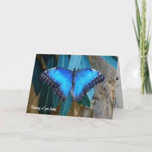 Blue Morpho butterfly thinking of you Card