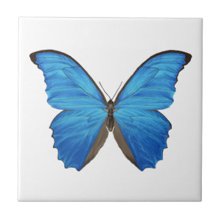 Blue Morpho Butterfly Tile