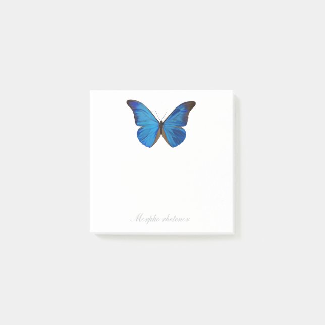 Blue Morpho Rhetenor Hand-Painted Butterfly Post-it Notes (Front)