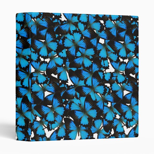 Blue Mountain Swallowtail Binder (Front/Spine)