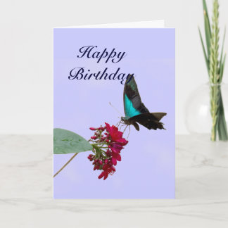 Blue Mountain Swallowtail Butterfly Birthday Card