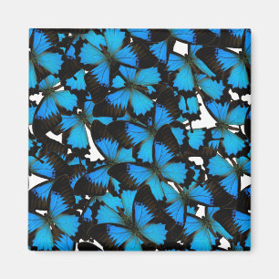 Blue Mountain Swallowtail Magnet