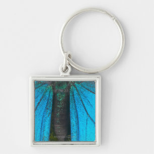 Blue mountain swallowtail (Papilio ulysses) Keychain