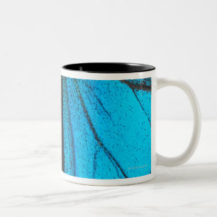 Blue mountain swallowtail (Papilio ulysses) Two-Tone Coffee Mug
