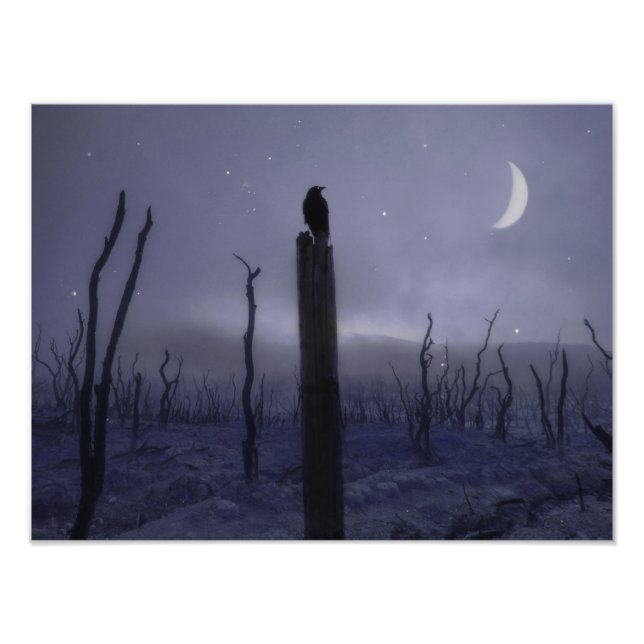 Blue Mystical Night Of Crow Photo Print (Front)