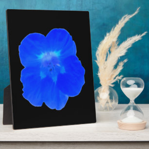 Blue Nasturtium Plaque