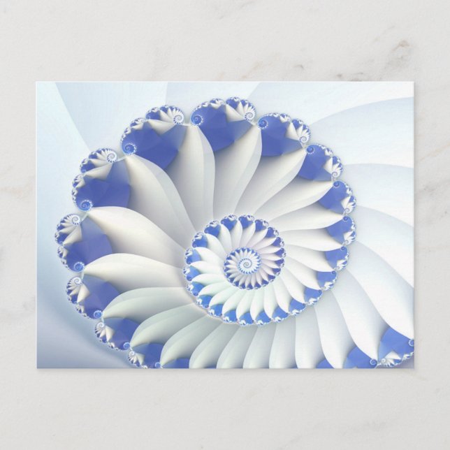 Blue Nautilus Postcard (Front)