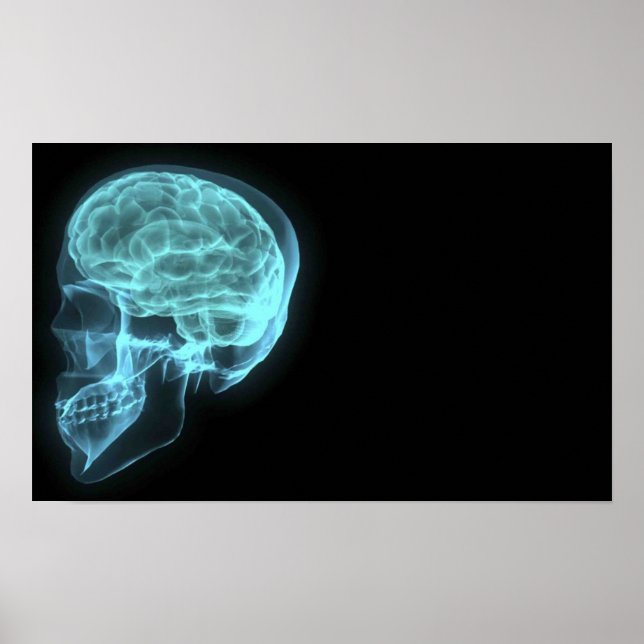 Blue Neon Side View X-ray Skull on Black Poster (Front)