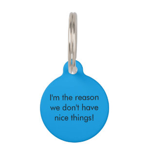 Blue "Nice Things" Pet Name Tag