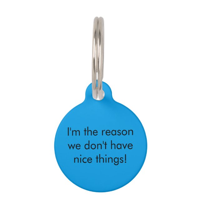 Blue "Nice Things" Pet Name Tag (Back)