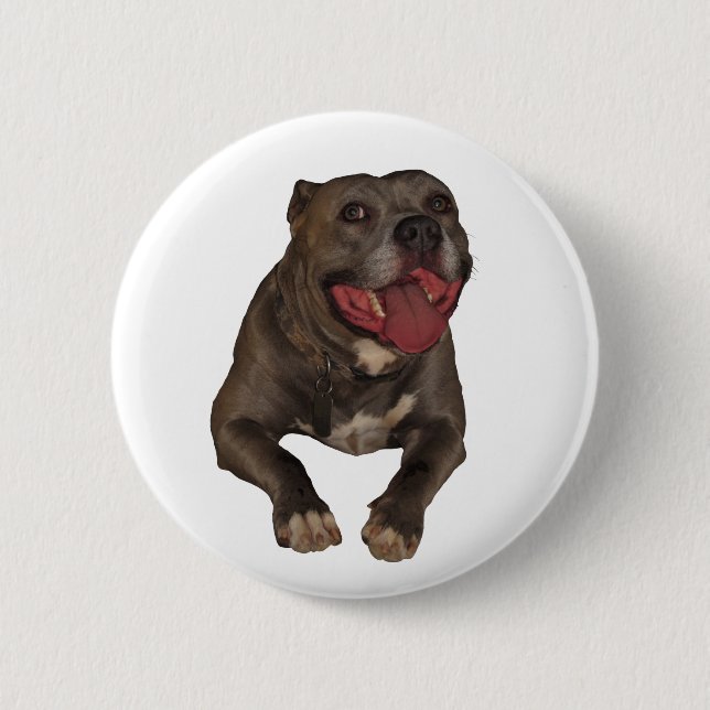 Blue Nose Pitbull Button (Front)