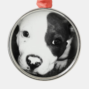 Blue Nose Pitbull Puppy Metal Ornament
