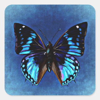 Blue on Blue Butterfly Sticker