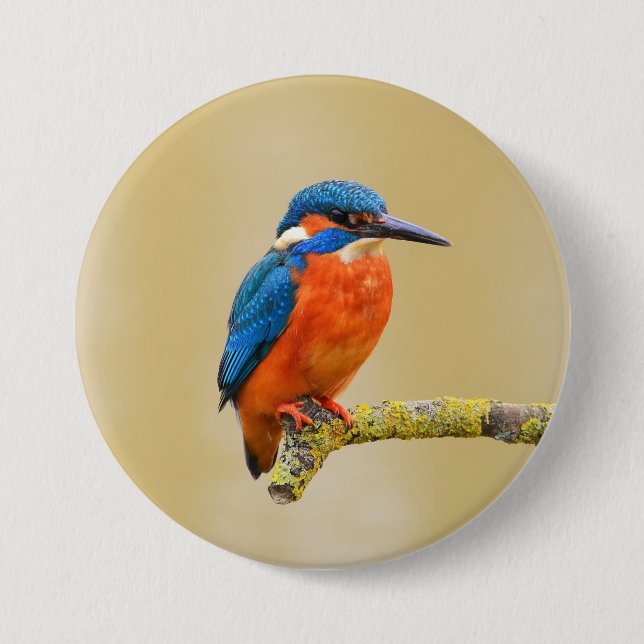 Blue Orange Kingfisher Bird 3 Inch Round Button (Front)