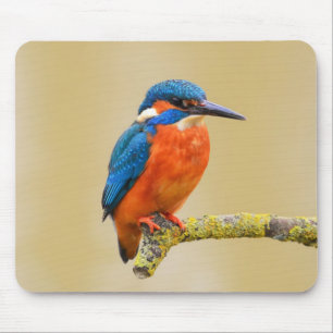 Blue Orange Kingfisher Bird Mouse Pad