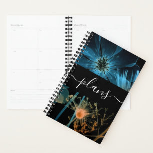 Blue Orange X-Ray Wildflowers Wedding Planner