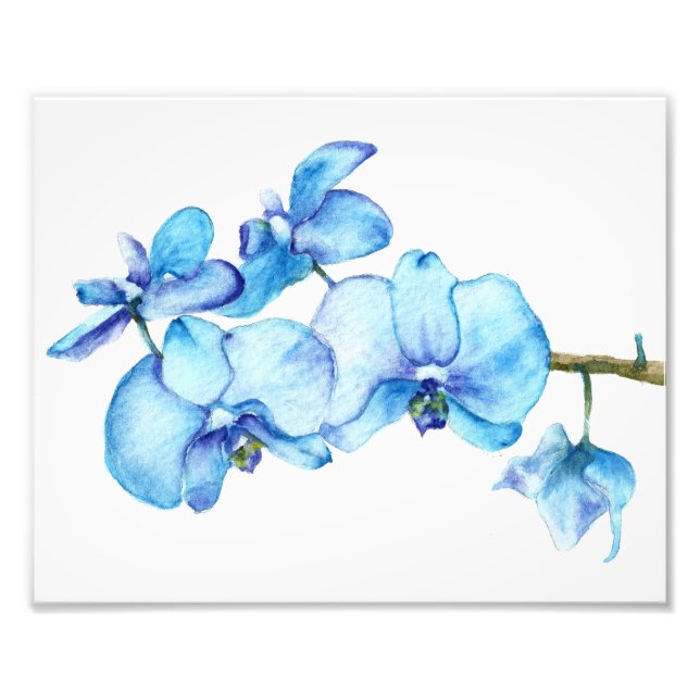 Blue Orchid Botanical Print (Front)