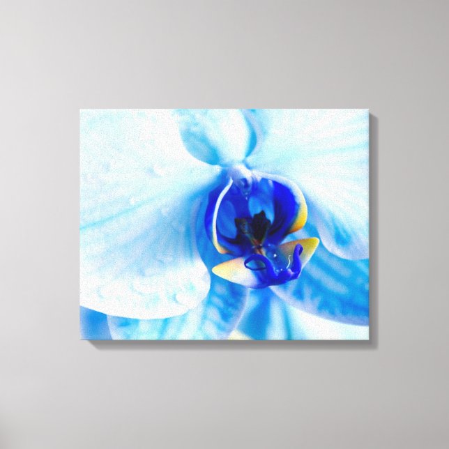 Blue Orchid Canvas Print (Front)