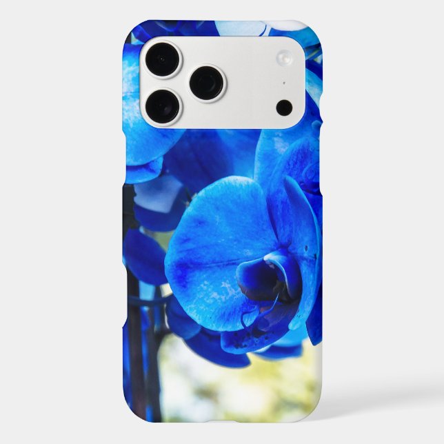 Blue orchids (Back)