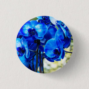 Blue orchids 1 inch round button
