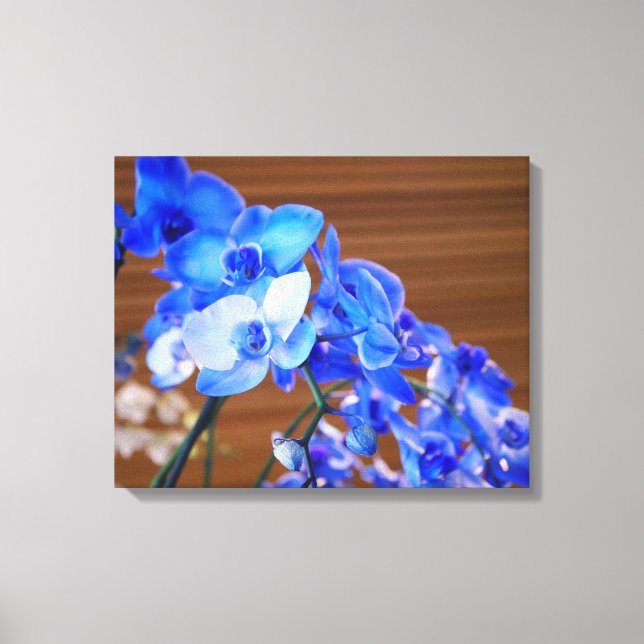 Blue Orchids Canvas Print (Front)