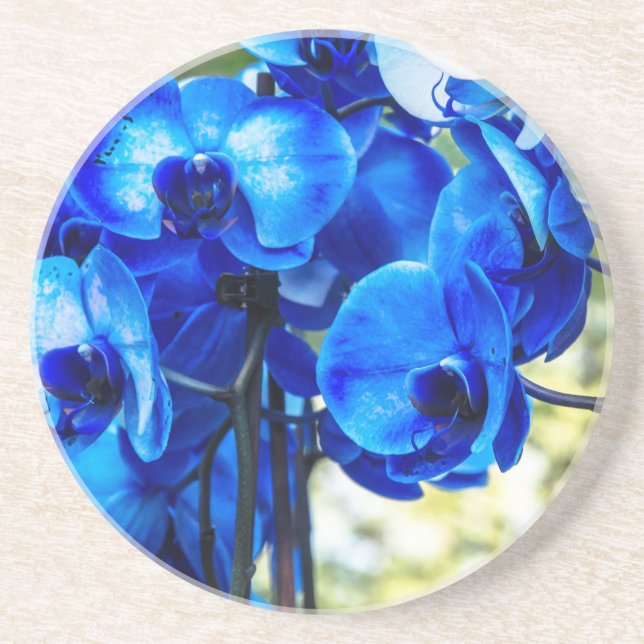Blue orchids coaster (Front)