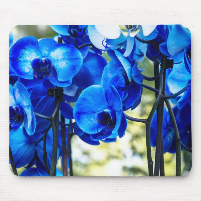 Blue orchids mouse pad (Front)